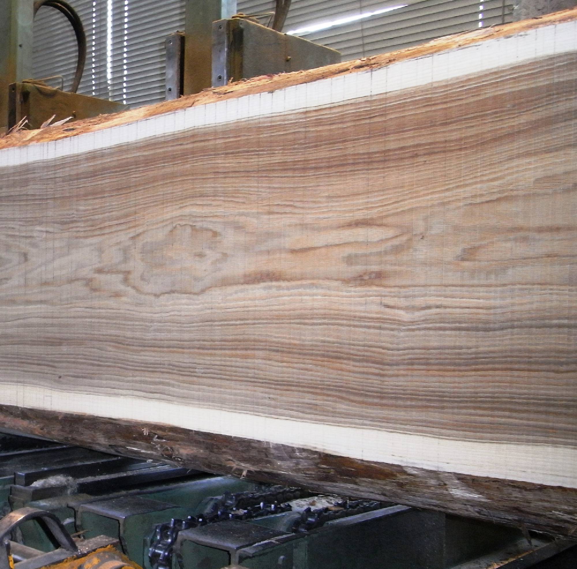 Tavole in legno in diverse misure e spessori - Segheria Bordiga in Trentino